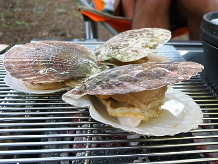 f0155342_21241569.jpg
