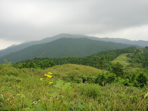 e0164643_1717052.jpg
