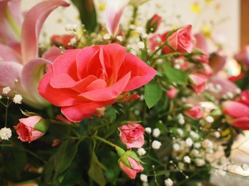 f0096147_1032310.jpg