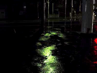 a0156548_1233523.jpg