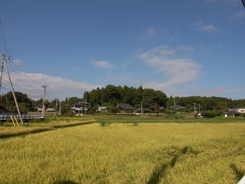 e0022948_10363140.jpg