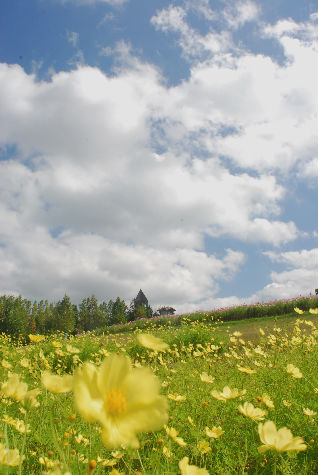f0020352_15565163.jpg