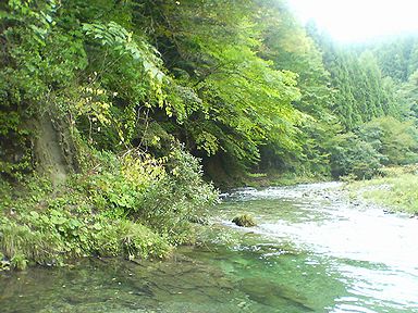 a0096557_16222045.jpg