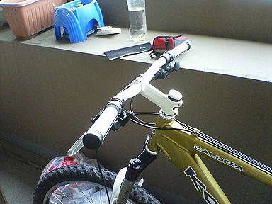 a0096557_1792672.jpg
