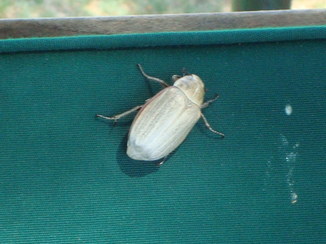 f0232060_13585914.jpg