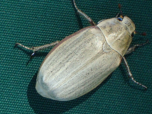 f0232060_1402216.jpg