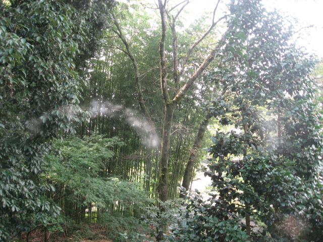 a0120264_19211036.jpg