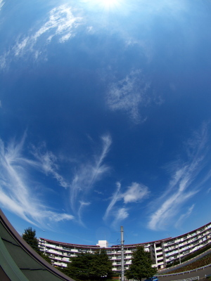 b0180764_063272.jpg