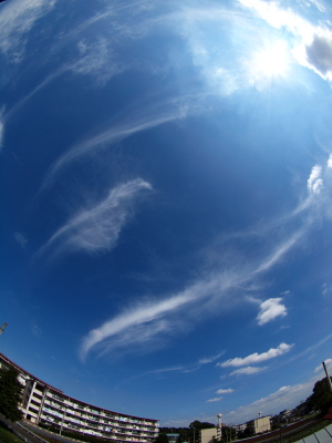 b0180764_07754.jpg