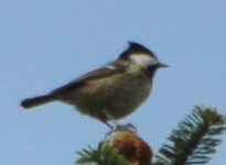e0197164_23445611.jpg