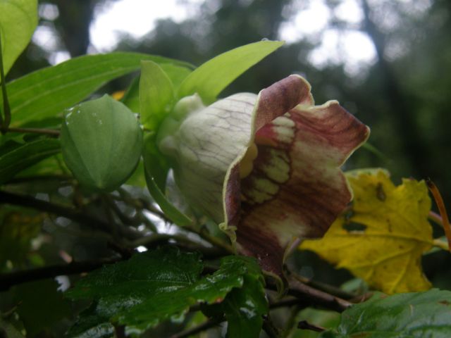c0042869_21542985.jpg