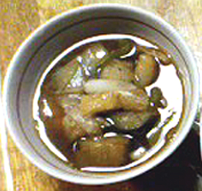 b0175871_23351614.jpg