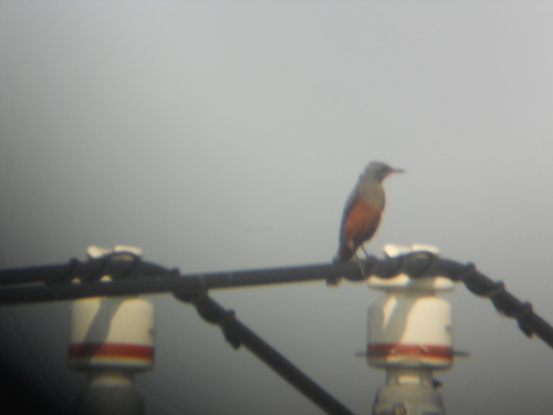 d0008072_20475931.jpg