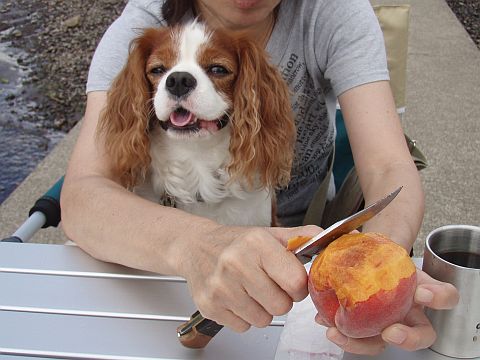 f0047773_20121117.jpg