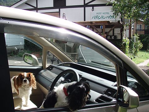 f0047773_20152360.jpg