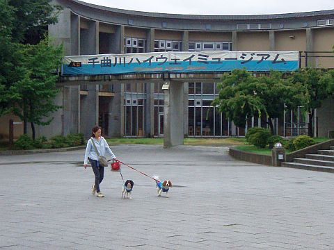 f0047773_2073635.jpg