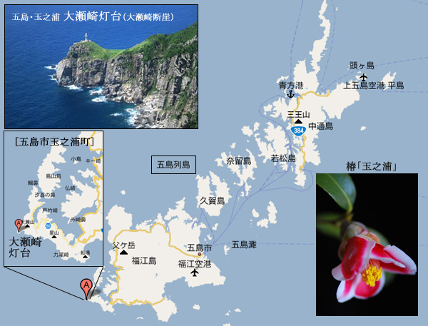 c0009981_732012.jpg