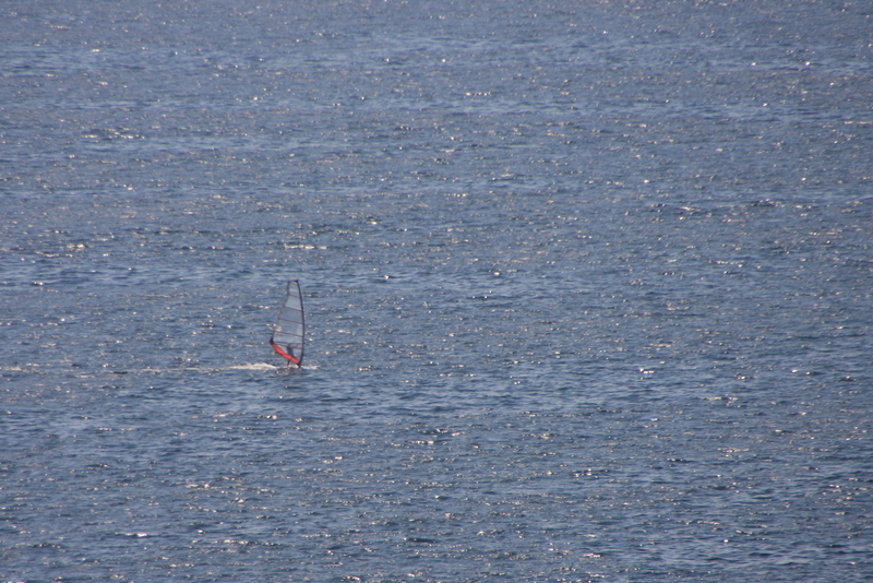 e0024081_1425696.jpg