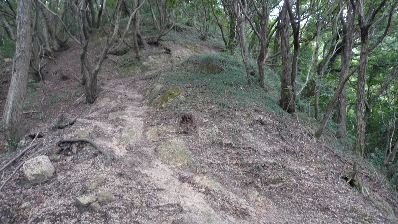 e0024081_1453114.jpg