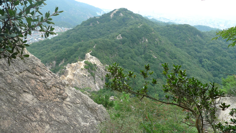 e0024081_1453934.jpg