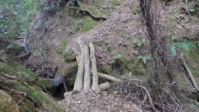 e0024081_1462893.jpg