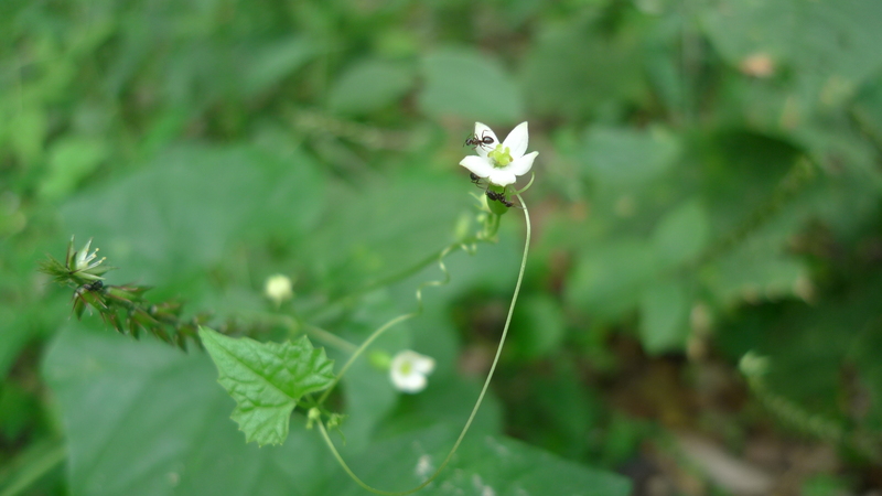 e0024081_1465538.jpg