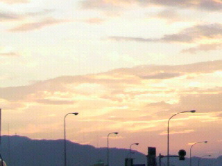 f0016981_1355643.jpg
