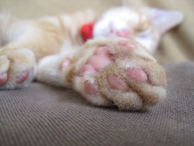a0019386_12583570.jpg