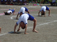 e0150087_8164526.jpg