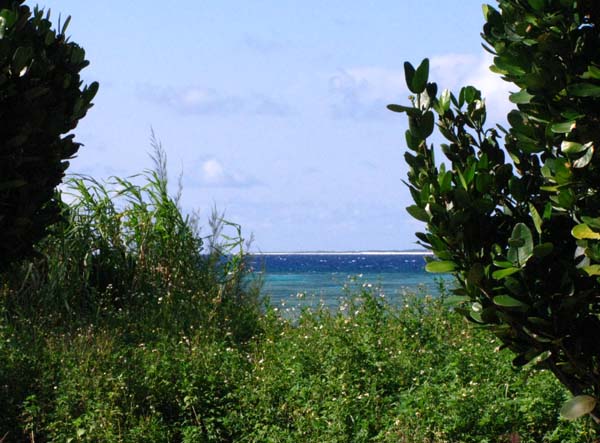 c0064389_12511783.jpg