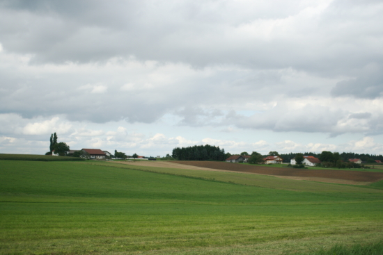 f0093592_1436282.jpg