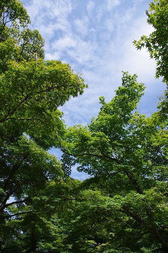 b0119493_23551464.jpg