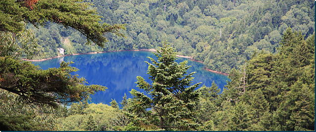 b0115497_16533737.jpg