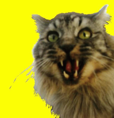 c0213598_22133443.gif
