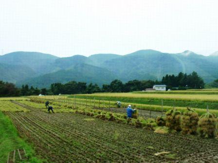 d0069498_21405998.jpg