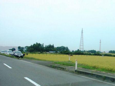 d0069498_21423167.jpg