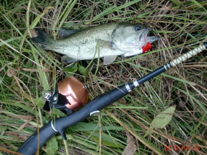 c0023804_145093.jpg