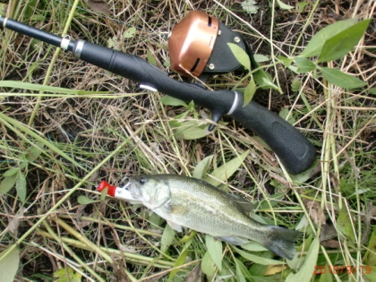 c0023804_145950.jpg