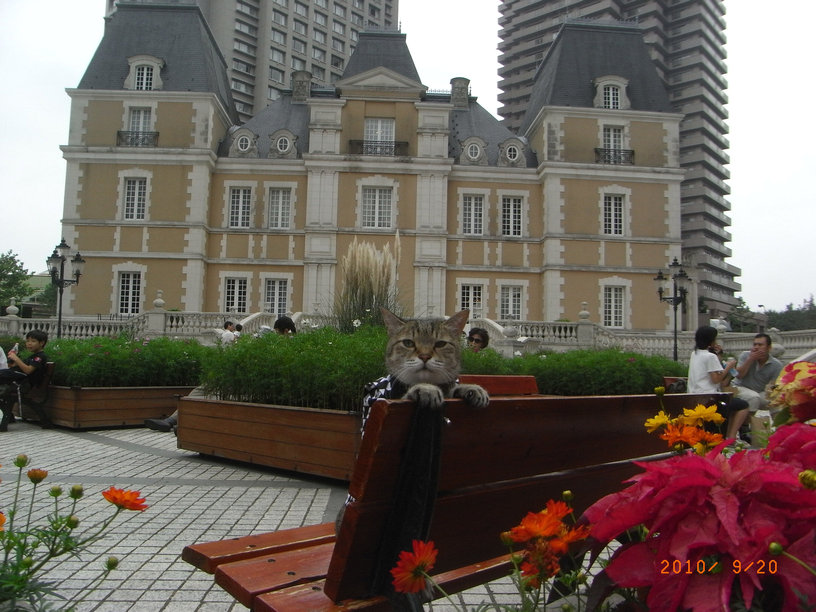 e0031605_10165447.jpg