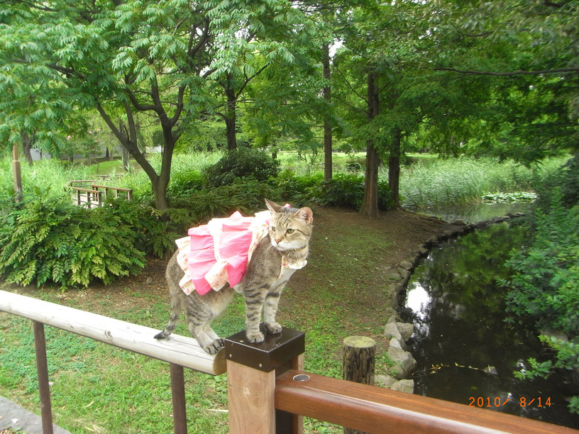e0031605_1312246.jpg