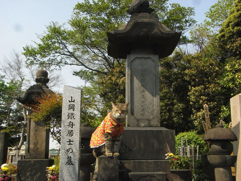 e0031605_22285563.jpg