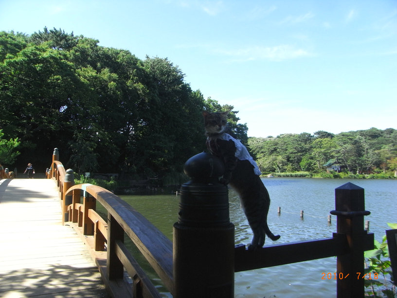 e0031605_22493448.jpg