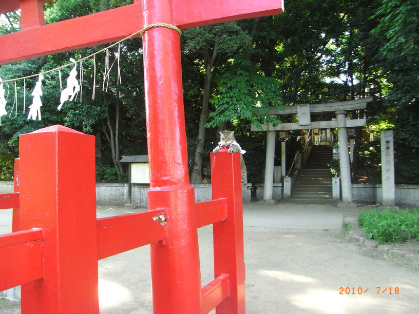 e0031605_22511233.jpg
