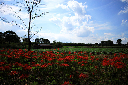 b0014607_21463686.jpg