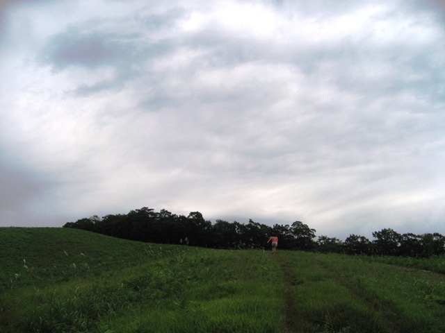 d0125208_16251856.jpg