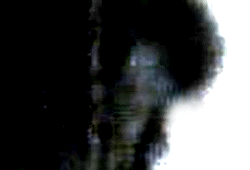 e0103408_13405251.gif