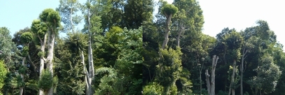 f0221708_2148466.jpg
