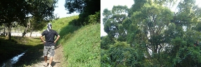 f0221708_2153448.jpg