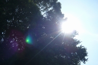 f0221708_21561363.jpg