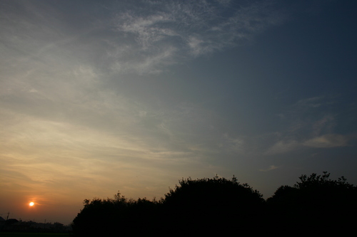 a0159009_19145434.jpg